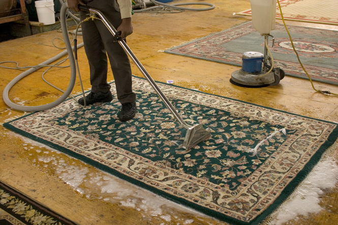 Area Rug Cleaning Staten Island, How To Clean A Soiled Area Rug